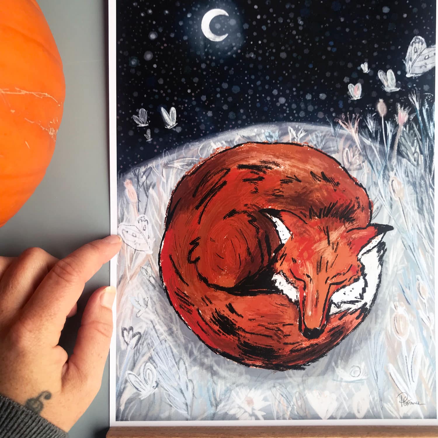 Sleepy-Fox-art-print