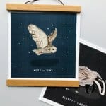 wise-as-an-owl