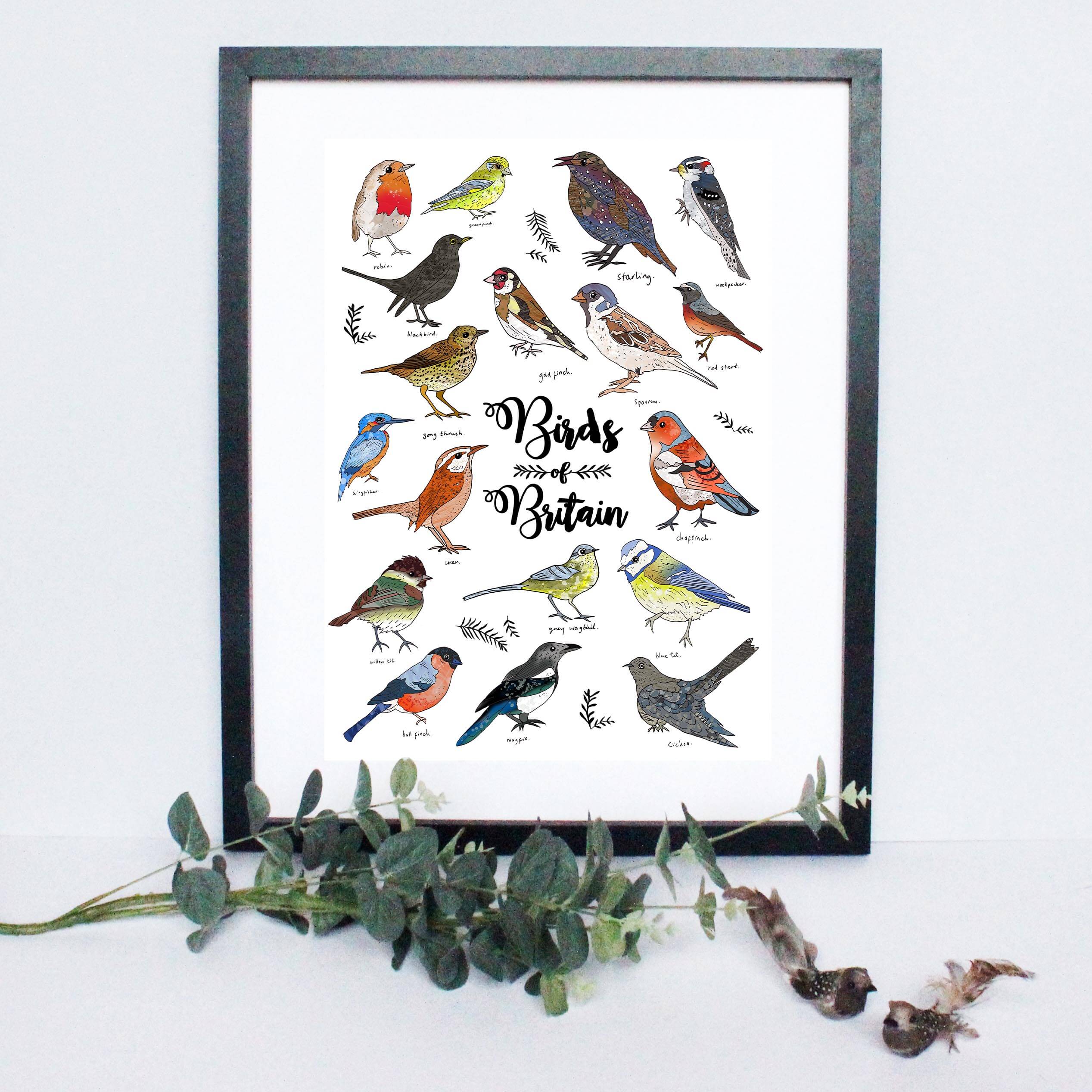 birds of britain frame