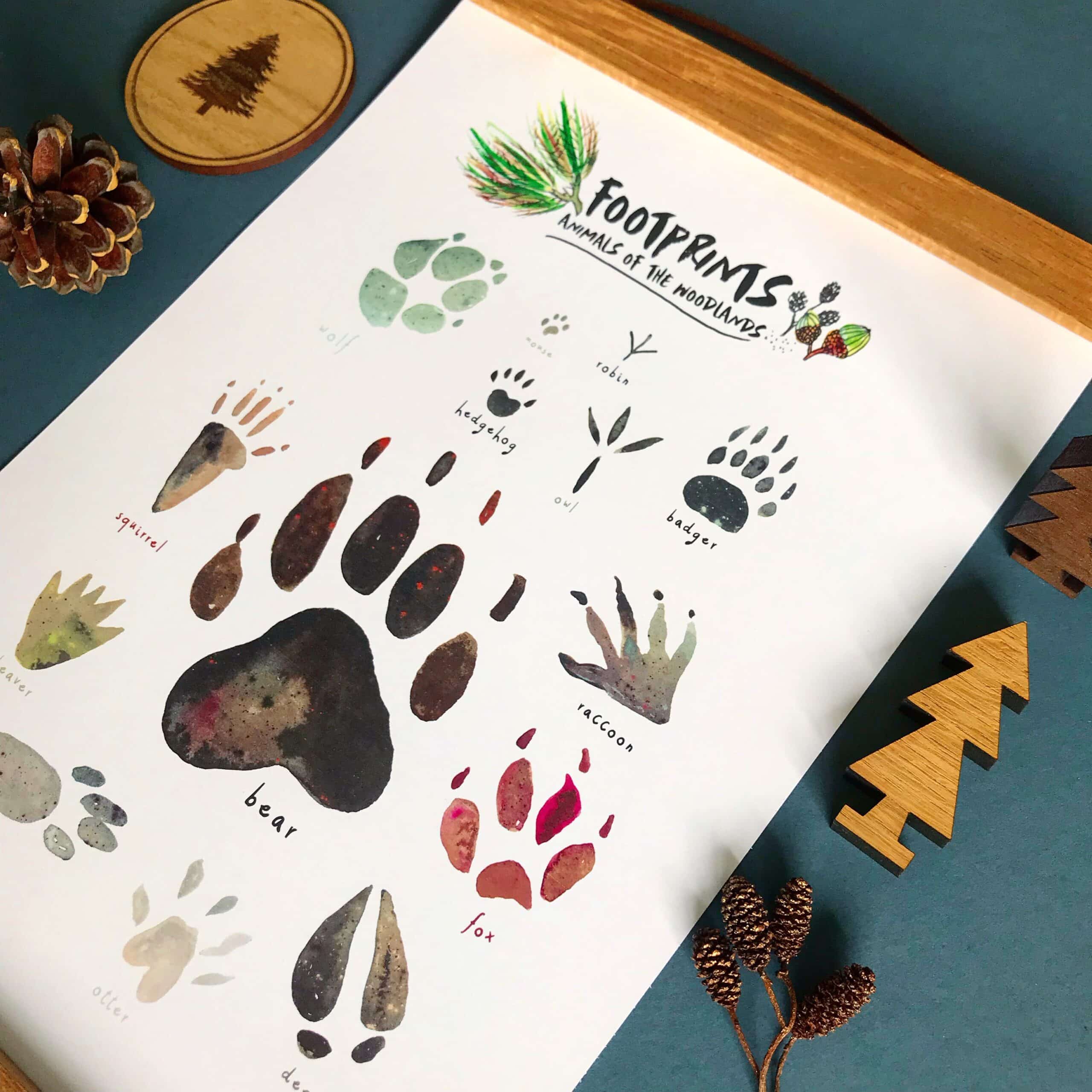 woodland animal footprints art print