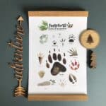 woodland foot prints