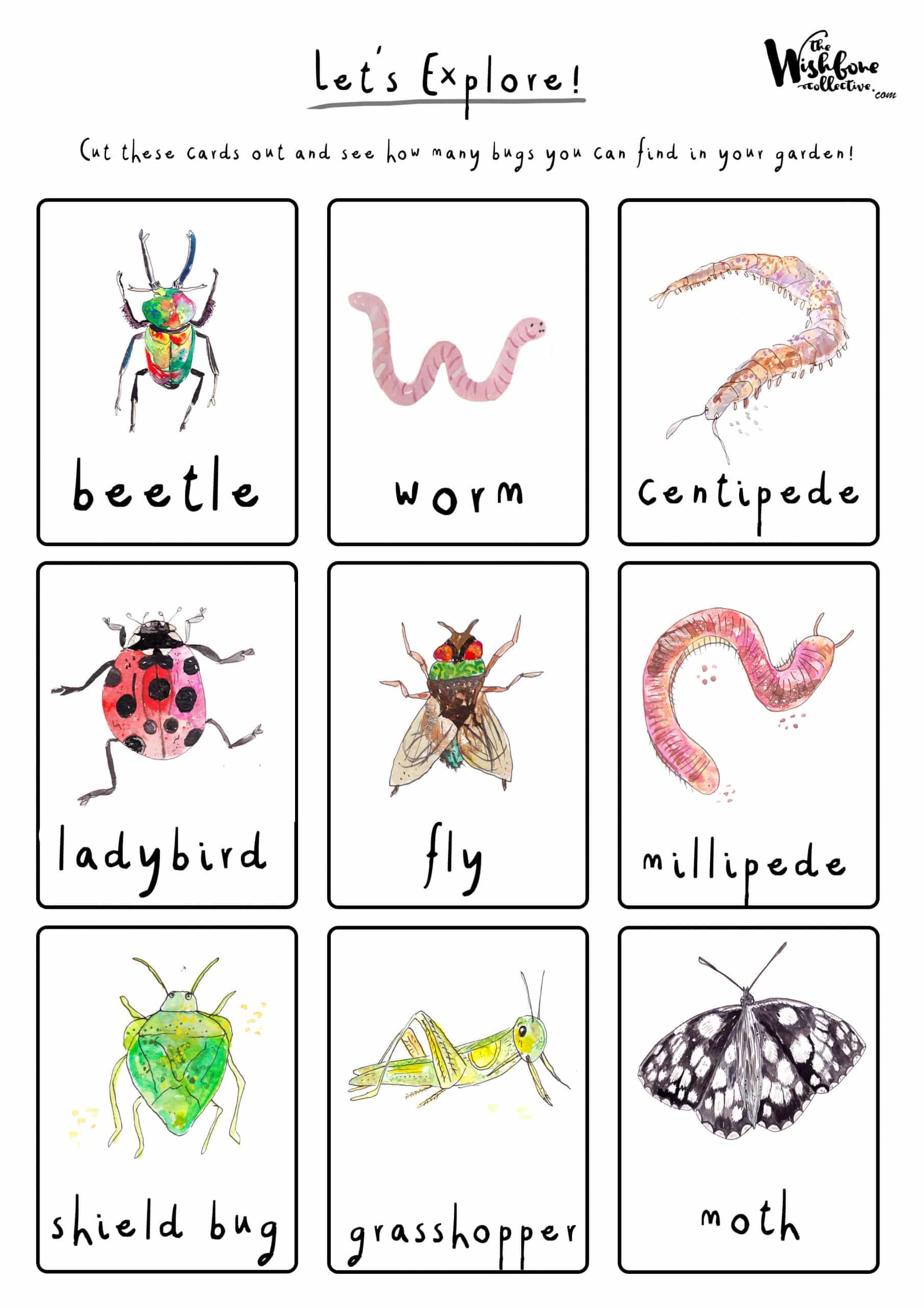 Bug Hunting Cards 2:2