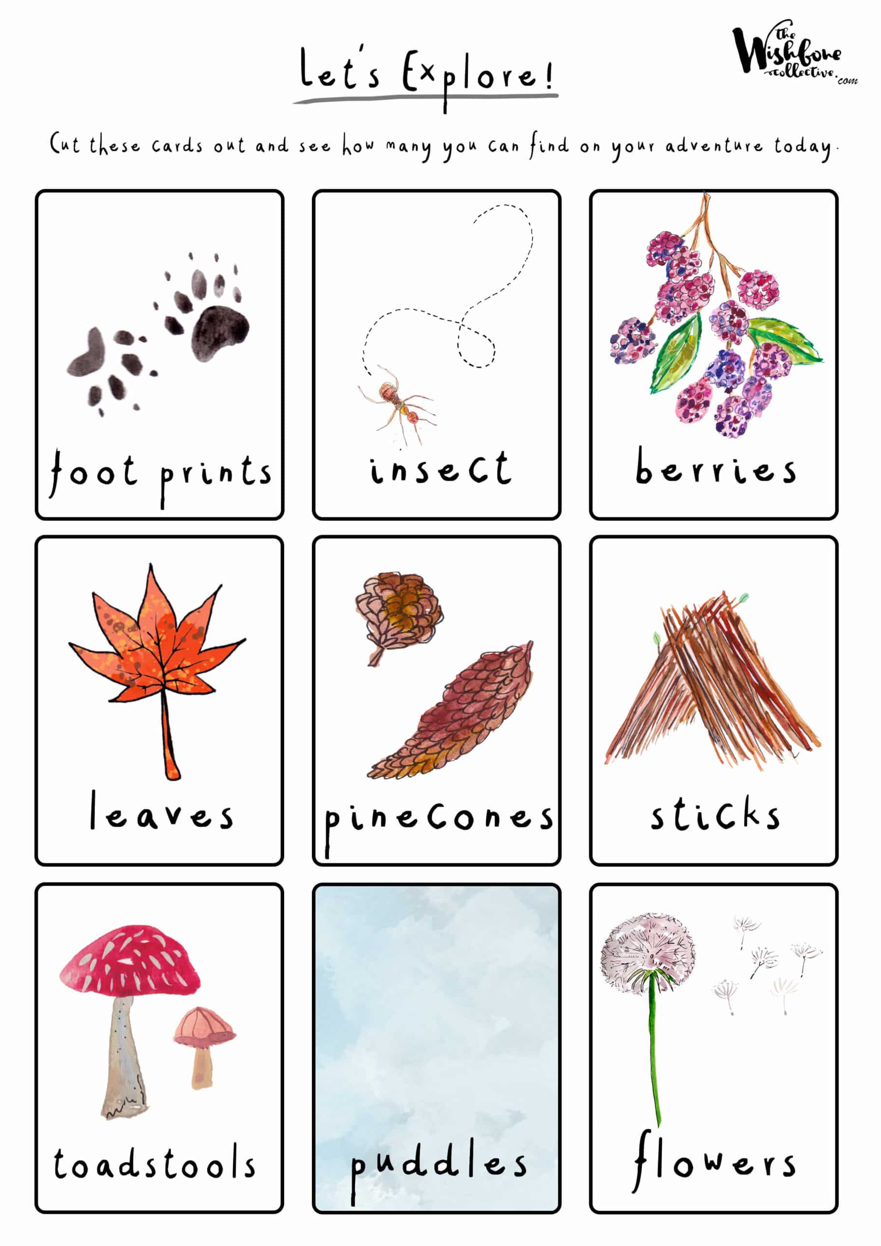 Forest Explorer Cards 1:3