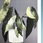 botanical-plant-pot-leaves-purple