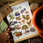 autumn-foraging-art-print
