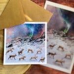 all-is-calm-all-is-bright-card-christmas-northern-lights