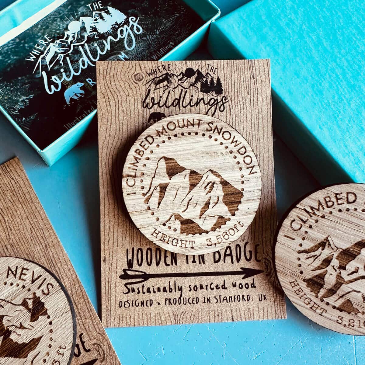 mount-snowdon-badge-3
