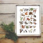 woodland-alphabet-frame