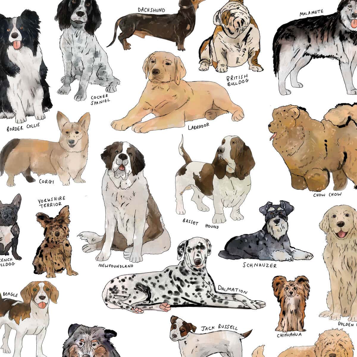 dog-art-print-close-up