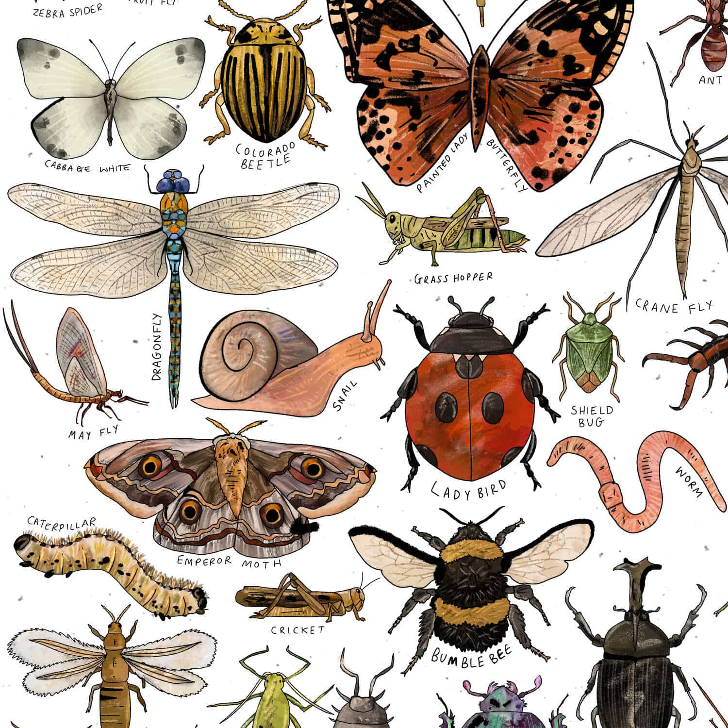 insects-art-close-up