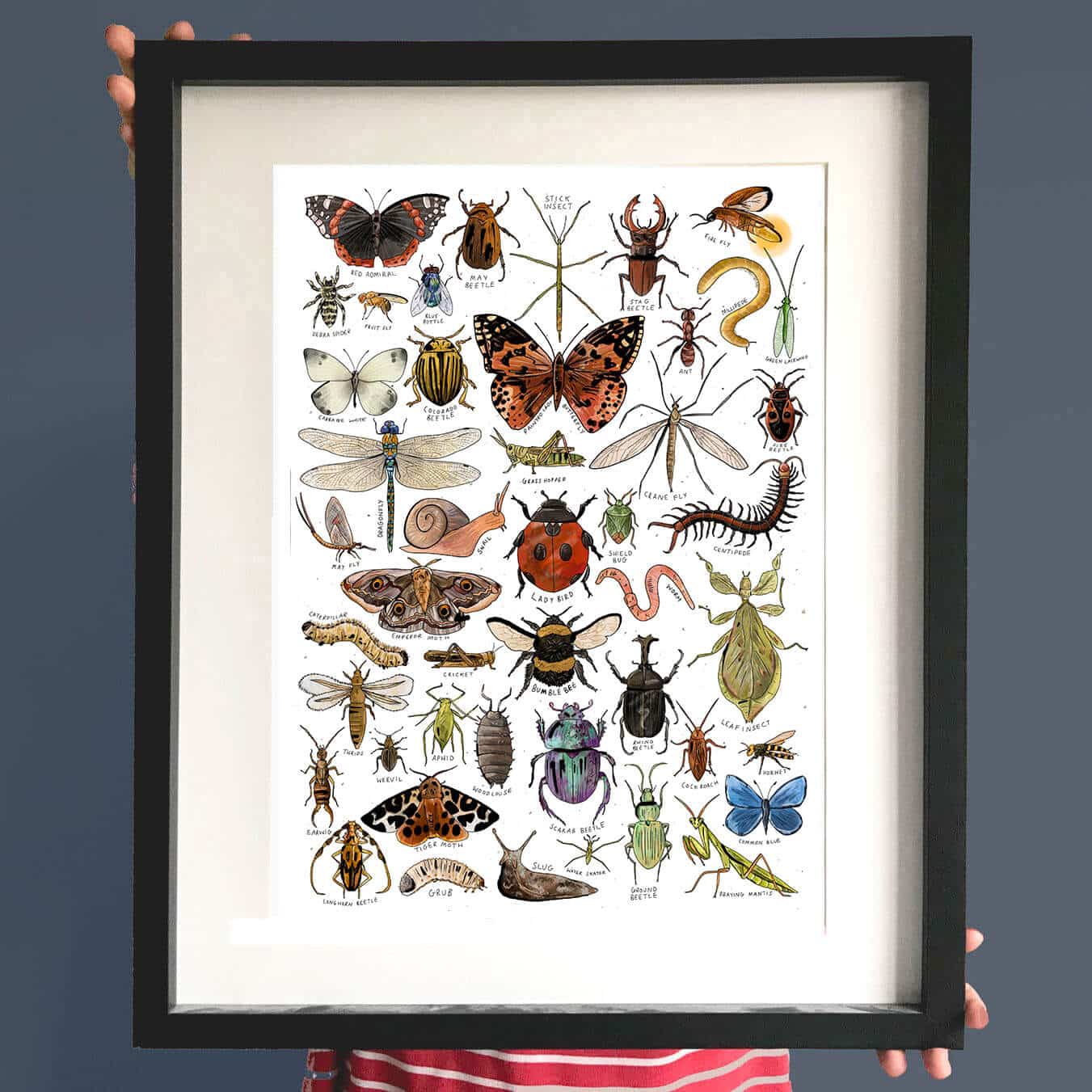 insects-art-print-me