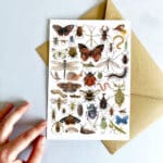 insects-card