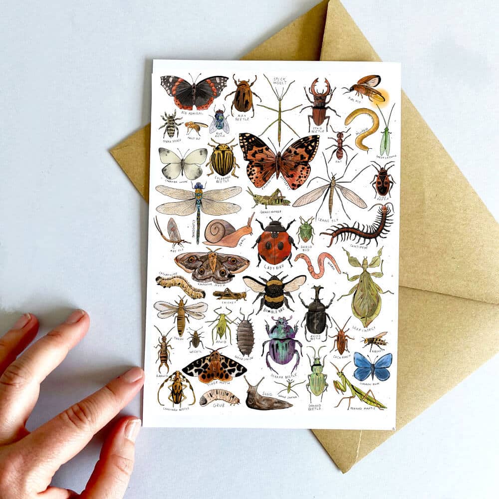 insects-card