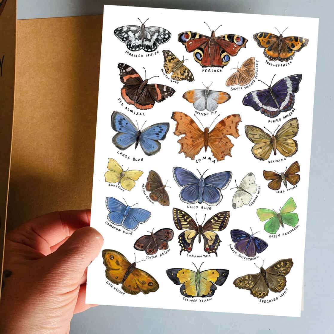 butterfly---tattoos