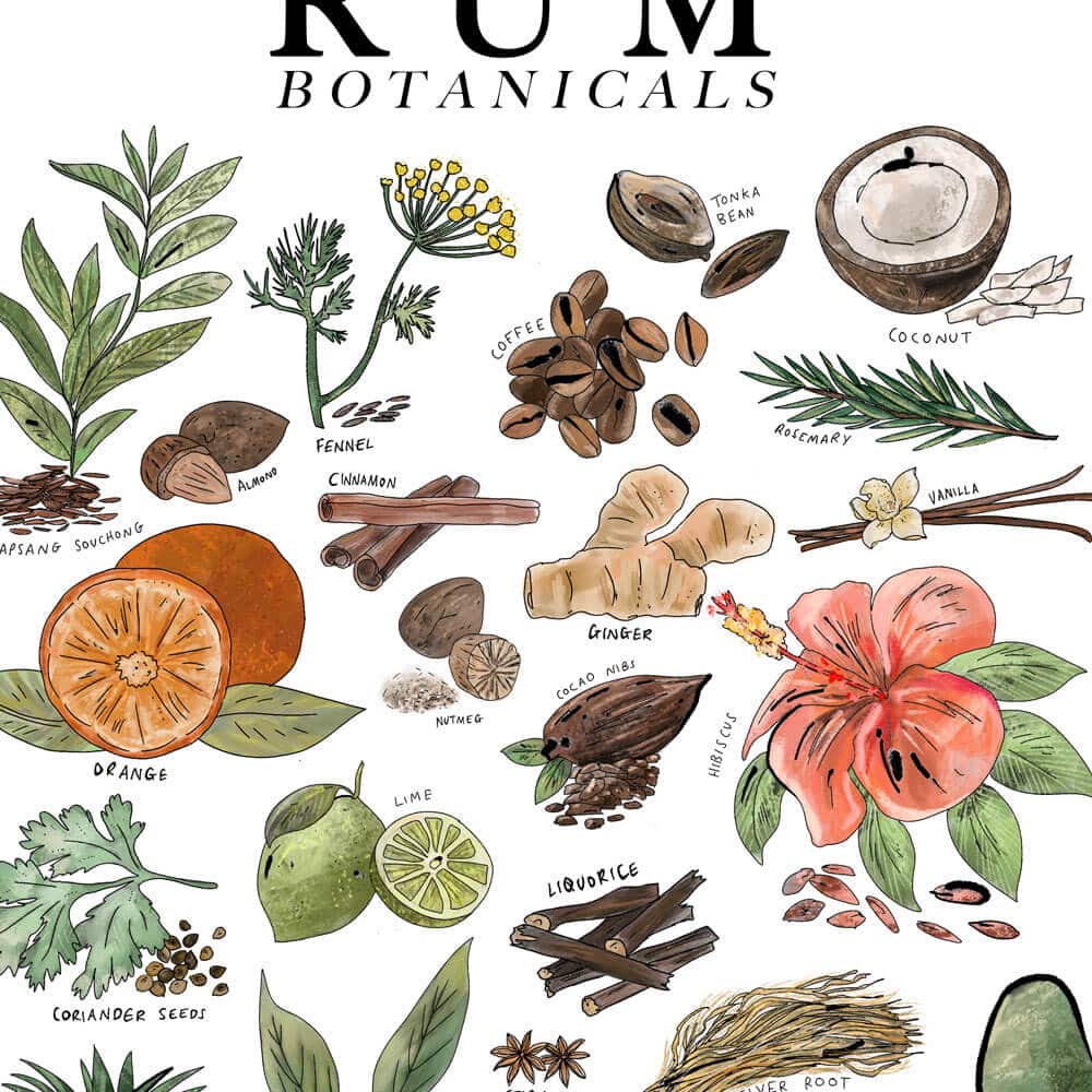 rum-BOTANICALSclose-up