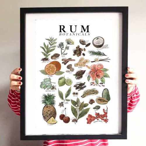 rum-botanicals-art-print