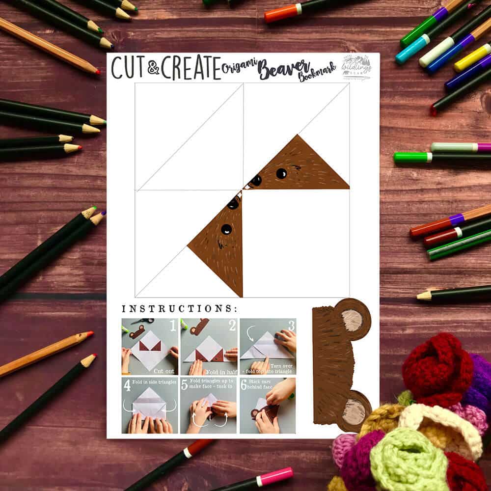 cut-create-beaver