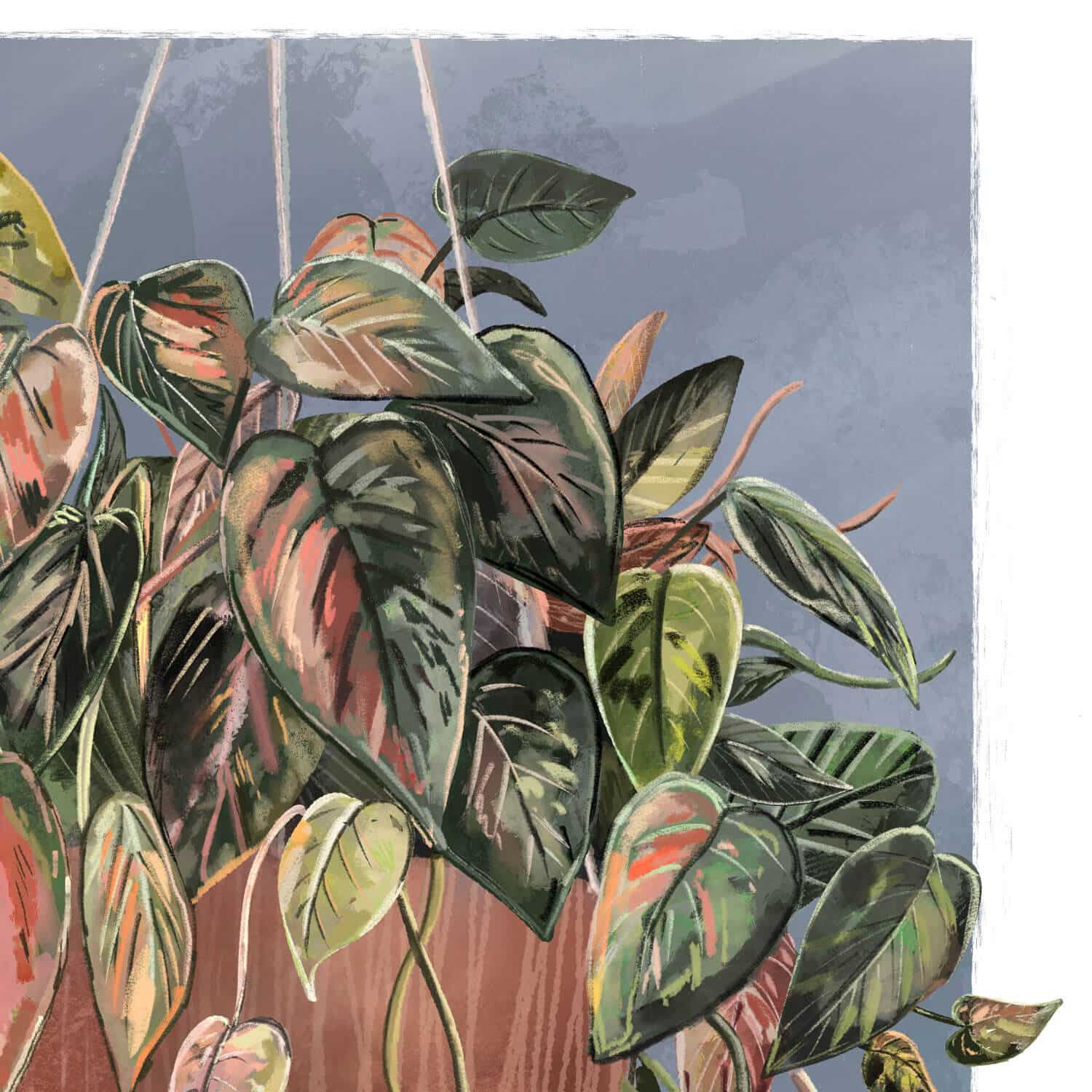 hand-in-there-plant-cloe-up