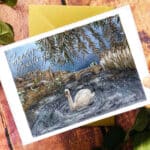 stamford-meadows-christmas-card