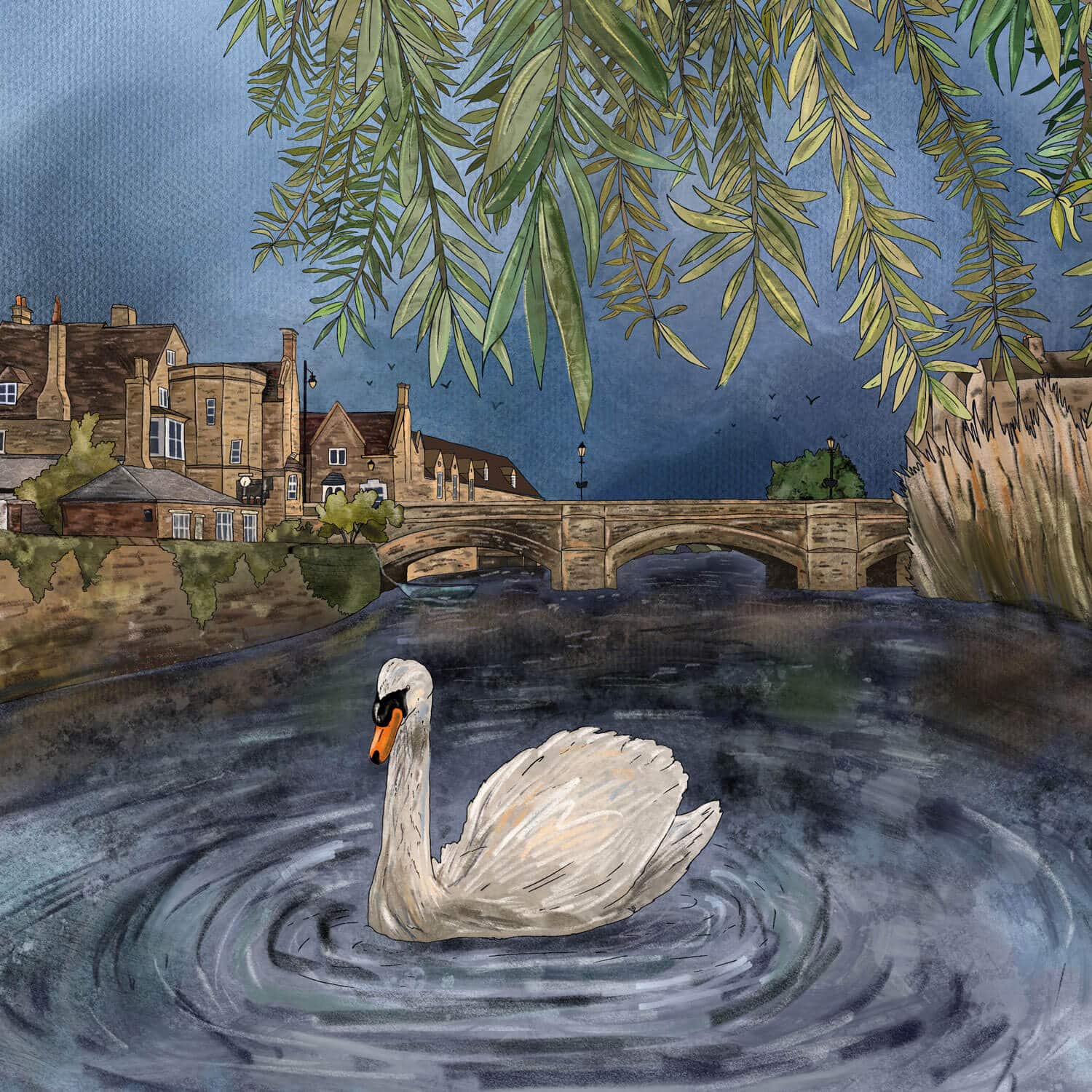 stamford-meadows-close-up