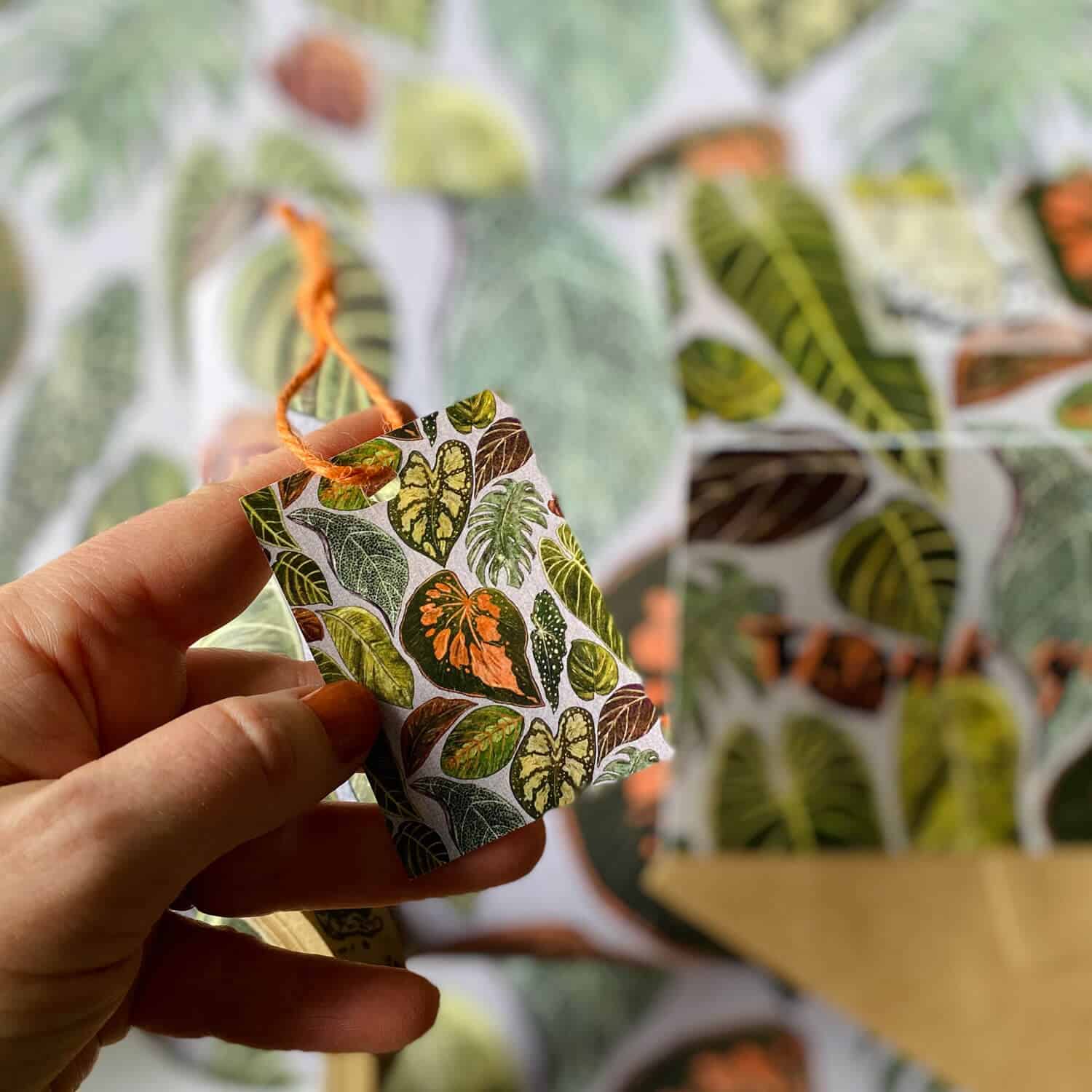 house-plants-gift-tag