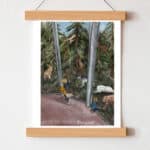 bristol-zoo-project-art-print2