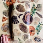 fossil-hunting-gift-wrap0