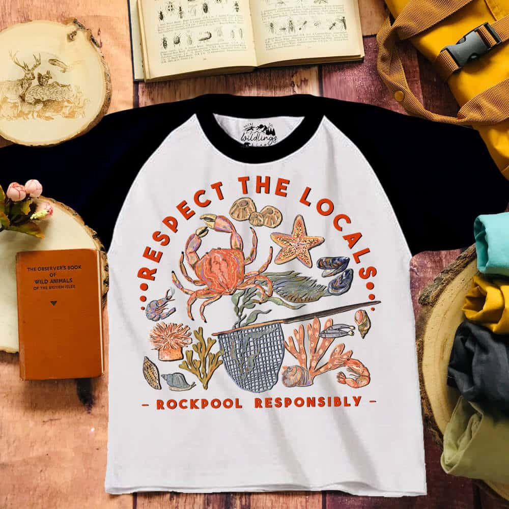 rock-pool-respoinsibly