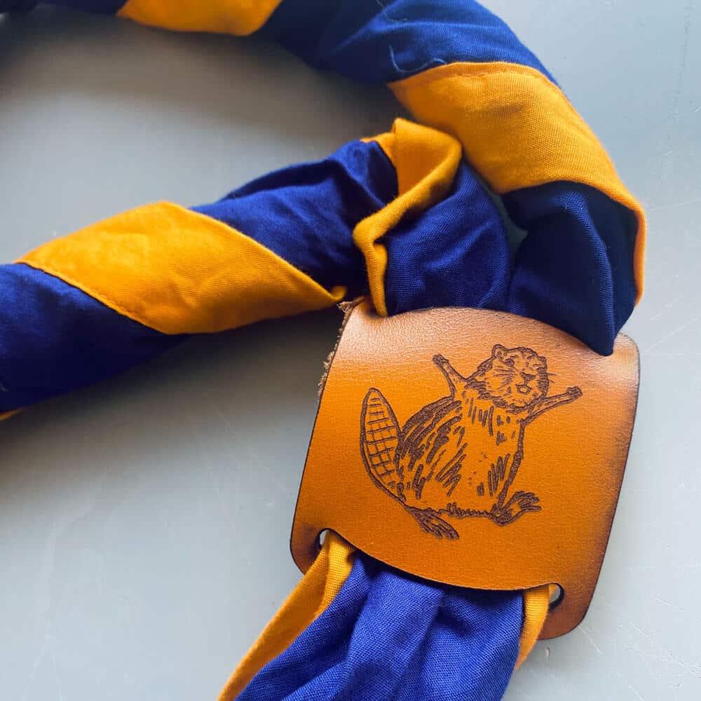 beaver-woggle-fable-new