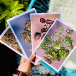 botanical-house-plant-personalised-name-card-5
