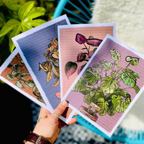 botanical-house-plant-personalised-name-card-5