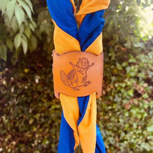 fable-woggle-beaver