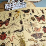 bug-gift-wrap