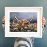 highland-cow-xmas-art-print
