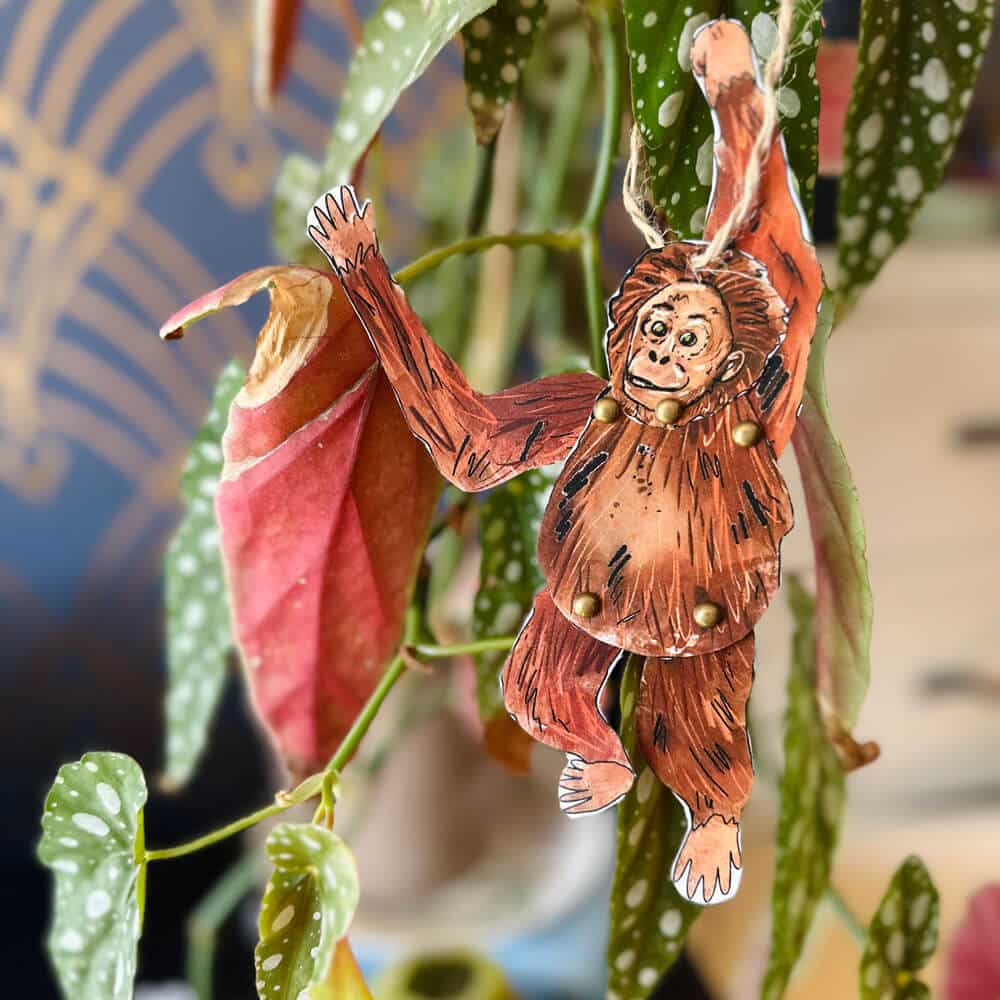 split-pin-orangutan