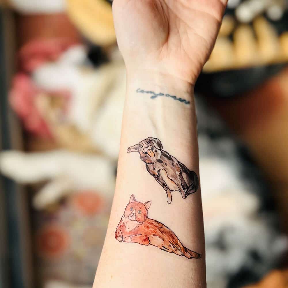 cat-dog-tat