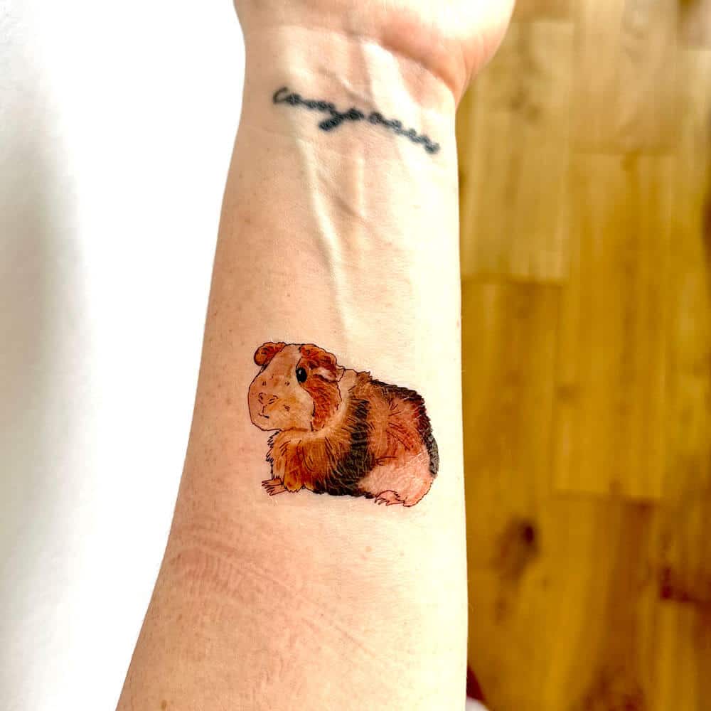 guinea-pig-tat
