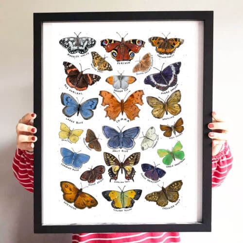 butterfly-art-print