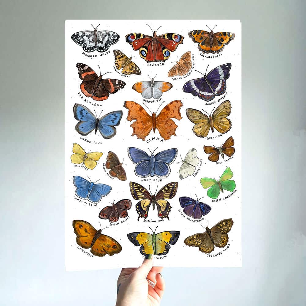 butterfly-art-print-little