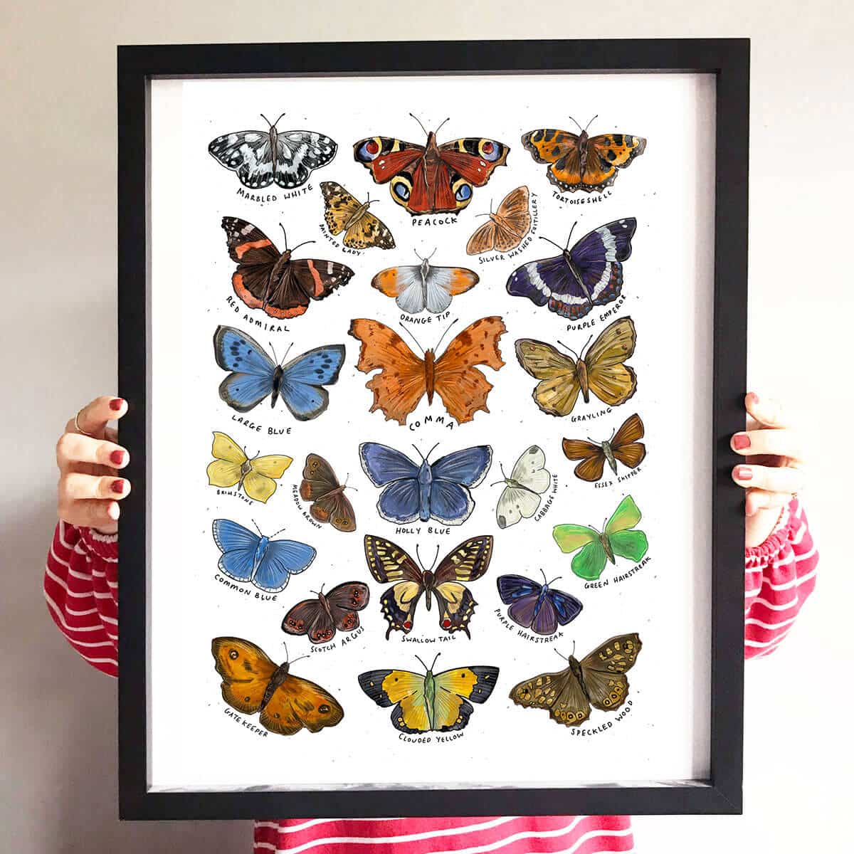 butterfly-art-print