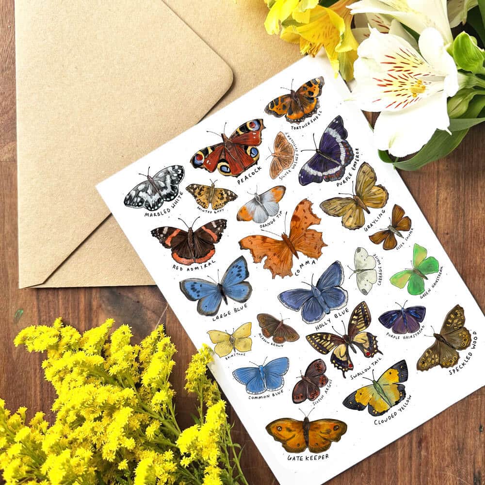 butterfly-card