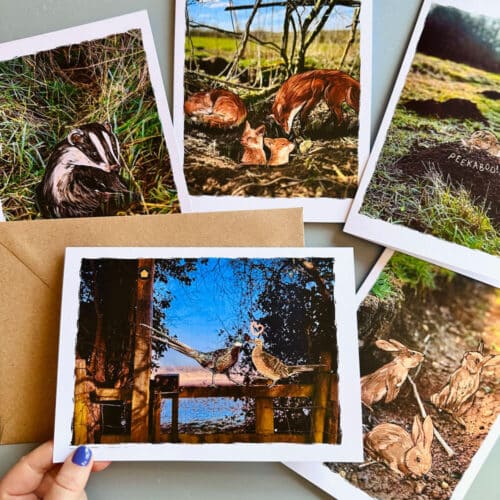 photo-woodland-animal-cards