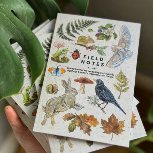 field-notes-book1