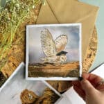 congratulations-owl-card