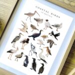 coastal-birds-frame.jpg