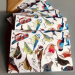 colour-british-bird-thank-you-cards.jpg