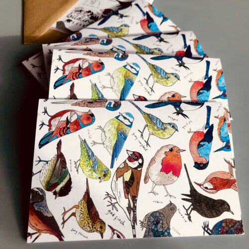 colour-british-bird-thank-you-cards.jpg
