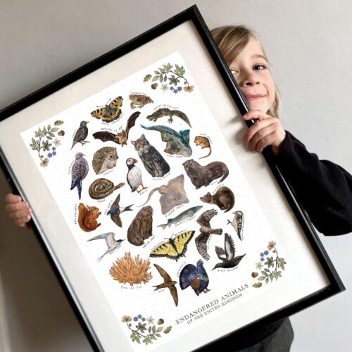 endangered-animals-uk-art-print-frame.jpg