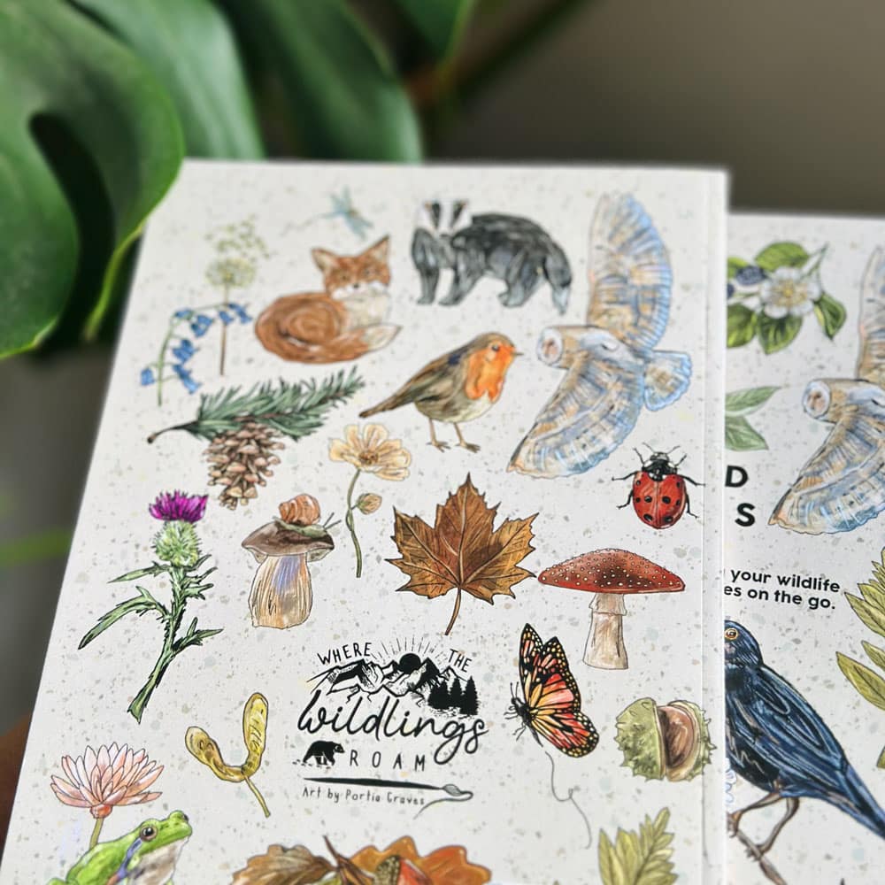 field-notes-booik3.jpg