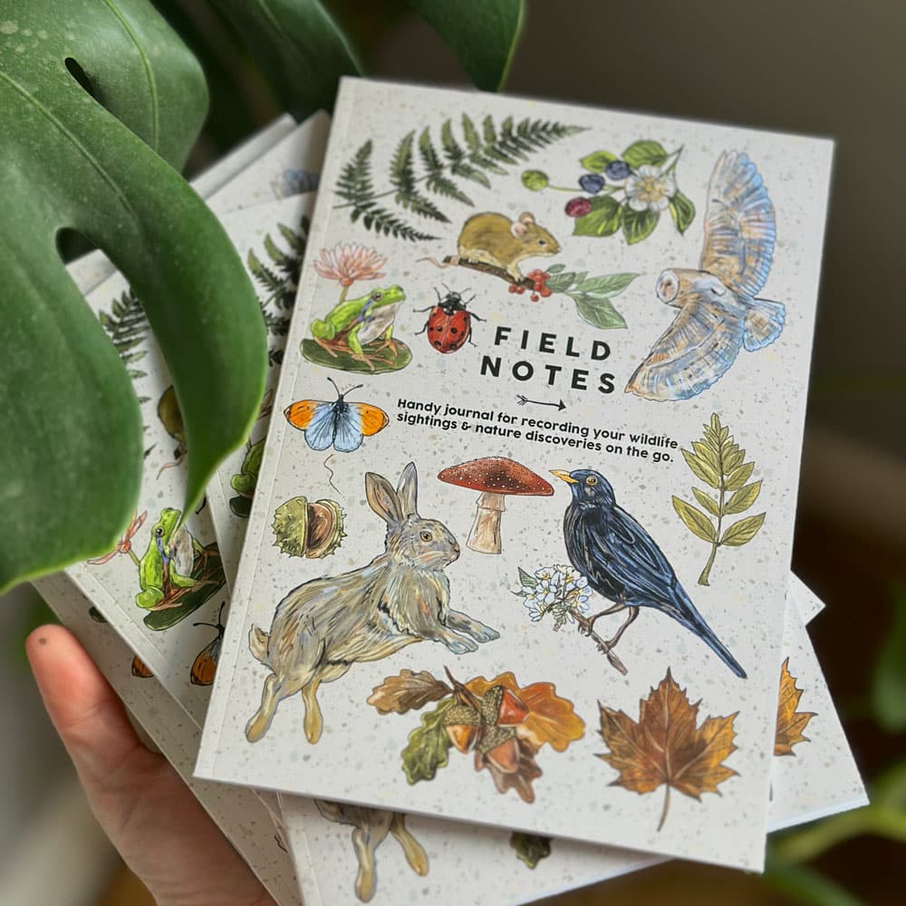 field-notes-book1.jpg